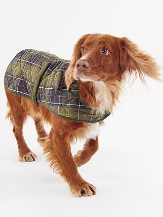 BARBOUR | Hunde Jacke Tartan | 